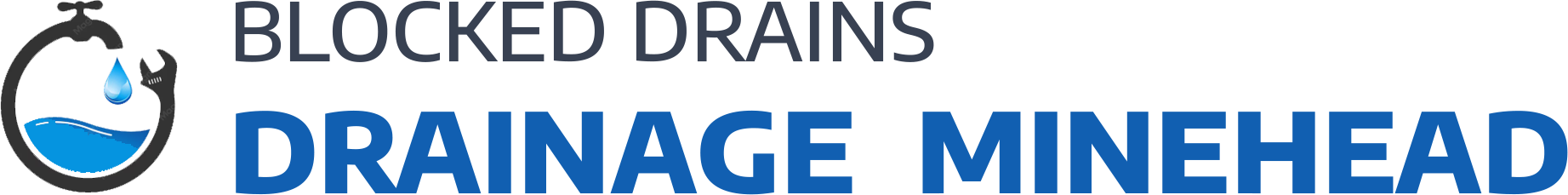 website logo